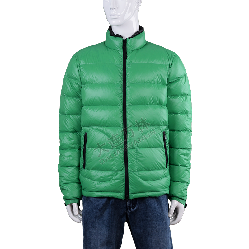 男士綠色立領(lǐng)短款羽絨服